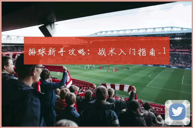 排球新手攻略：战术入门指南_1