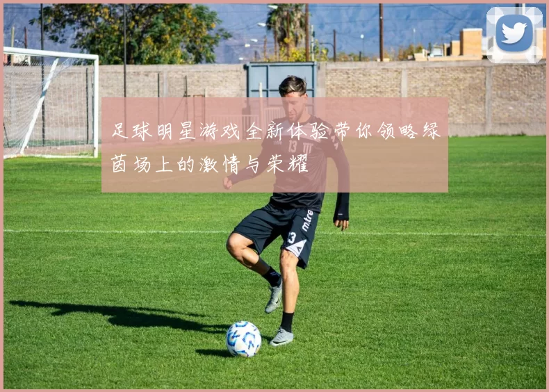足球明星游戏全新体验带你领略绿茵场上的激情与荣耀