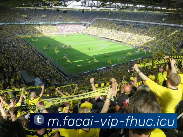 华体会体育品牌故事