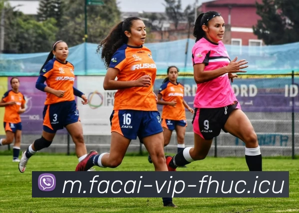 华体会体育服务体系