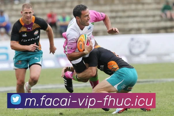 华体会体育APP 体育赛事宣传图